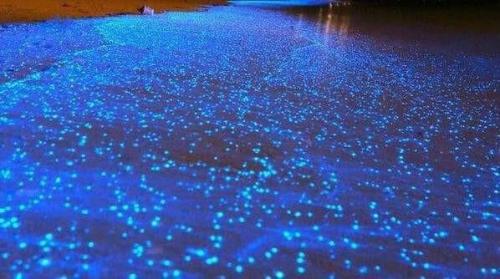 LINE ALBUM สี่เกาะ-ซันเซท 220928 23