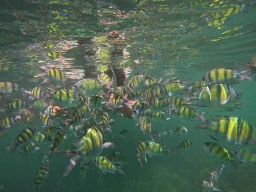 LINE ALBUM ทริปพีพี 220910 0