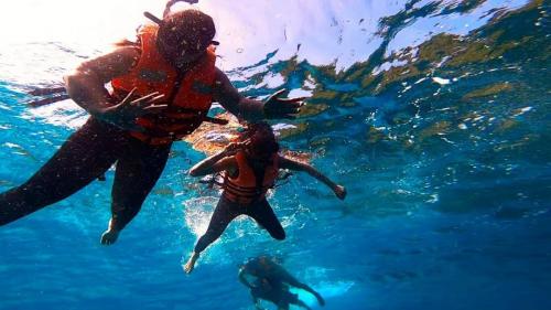 LINE ALBUM เกาะห้อง 220926 35